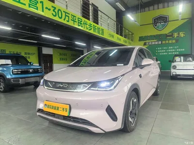2025 BYD Dolphin Smart Drive Edition 420km Freedom Version, фото 1, лот 10764262