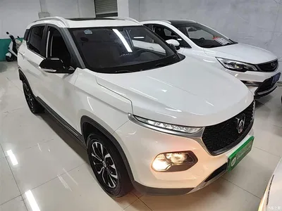 2019 Baojun 510 Model 1.5L Automatic Premium Comfort Version China V, фото 4, лот 10409721