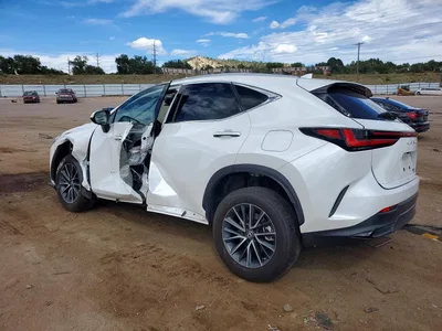 2022 LEXUS NX 250, фото 2, лот 11059715