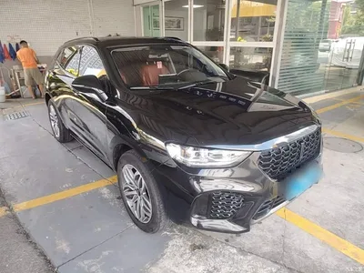2017 WEY VV5 2.0T Super Luxury Model, фото 4, лот 10671425