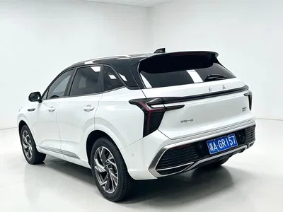 2023 Hongqi HS3 2.0T 4WD Achievement Edition, фото 4, лот 10286359