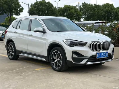 2020 BMW X1 sDrive20Li Premium Edition, фото 3, лот 10680278