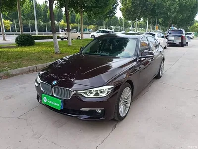 2018 BMW 3 Series 320Li Fashion Style, фото 2, лот 10457753
