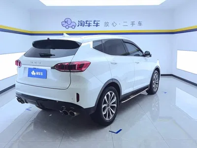 2020 WEY VV6 2.0T 2WD Smart Enjoy+, фото 3, лот 10455663