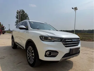 2017 Haval H6 Blue Label 1.5T Automatic 2WD Premium, фото 3, лот 10816040