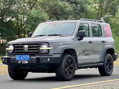 2023 Tank 300 Off-Road Edition 2.0T Conqueror, фото 1, лот 10679655