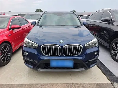 2019 BMW X1 sDrive18Li Fashion Model, фото 3, лот 10467788