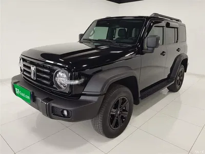 2023 Tank 300 Off-Road Edition 2.0T Conqueror, фото 2, лот 10345580