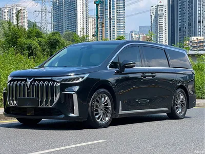 2022 Voyah Auto Voyah Dreamer Low-carbon Dream+Smart Package, фото 2, лот 10435882