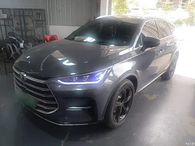 2021 BYD Tang New Energy DM-i 112KM Premium, фото 2, лот 11007184