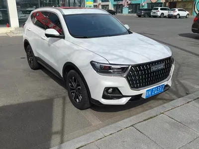 2023 Haval H6 National Trend Edition 1.5T Automatic Urban, фото 2, лот 10301177