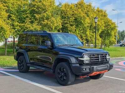 2021 Tank 300 Off-road Edition 2.0T Challenger, фото 3, лот 10450424