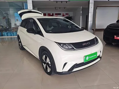 2023 BYD Dolphin 420km Freedom Edition, фото 4, лот 10886825