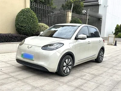 2023 Wuling Motors Wuling Bingo Model 333km Joy+ Version, фото 1, лот 10371924