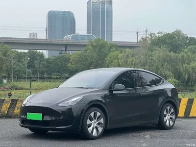 2022 Tesla Model Y Facelift Rear-Wheel Drive Version, фото 1, лот 11243241
