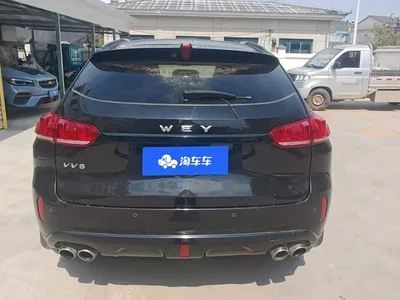 2017 WEY VV5 2.0T Flagship Model, фото 4, лот 11202836