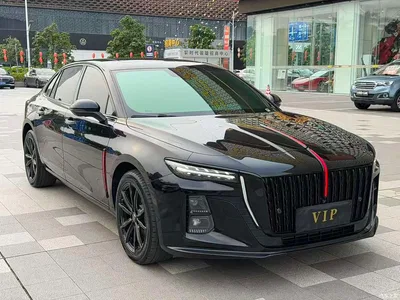 2025 Hongqi H5 2.0T Automatic Mystic Shadow, фото 3, лот 11087482