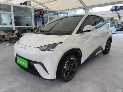2023 BYD Seagull Freedom Edition, фото 2, лот 10260015