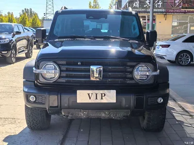 2021 Tank 300 Off-road Version 2.0T Conqueror, фото 2, лот 11548807