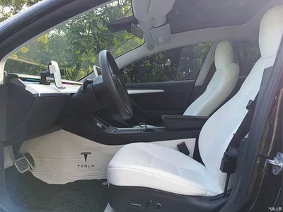 2022 Tesla Model 3 Model Rear-Wheel Drive Version, фото 4, лот 10351578