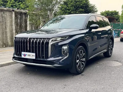 2023 Hongqi HS7 2.0T Automatic 4WD Flag Leader Edition (6-seater), фото 1, лот 10286814