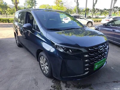 2021 GAC Trumpchi Trumpchi M6 PRO 270T DCT Elite, фото 4, лот 10421834