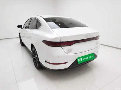 2025 BYD Qin PLUS DM-i Smart Drive 55KM Leader, фото 4, лот 10684807