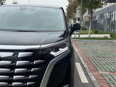 2024 Denza D9 DM-i 970 Luxury, фото 3, лот 11067885