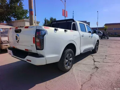 2026 Great Wall Pao 2.0T Commercial Cannon Automatic Diesel 4WD Extreme Cold Version, фото 4, лот 10808519