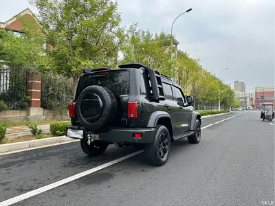 2021 Tank 300 Off-road Version 2.0T Conqueror, фото 4, лот 10900543
