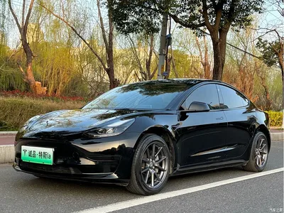 2021 Tesla Model 3 Standard Range Rear-Wheel Drive Upgrade, фото 1, лот 10353762