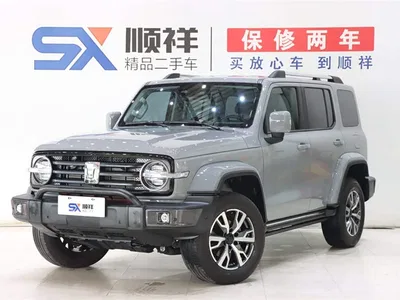 2021 Tank 300 Urban Edition 2.0T Stylish, фото 1, лот 10344143