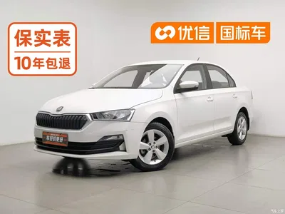 2020 Škoda Rapid 1.5L Auto Standard, фото 1, лот 10359140