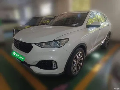 2018 WEY VV6 2.0T 4WD Flagship China V, фото 1, лот 10451918