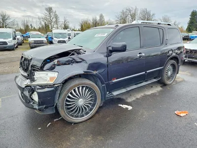 2009 INFINITI QX56, фото 1, лот 10666886