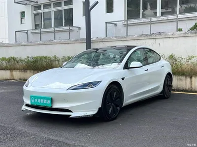 2023 Tesla Model 3 Rear-Wheel Drive, фото 1, лот 10479253