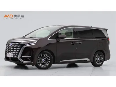 2024 Denza D9 DM-i 980 AWD Flagship, фото 1, лот 10404957