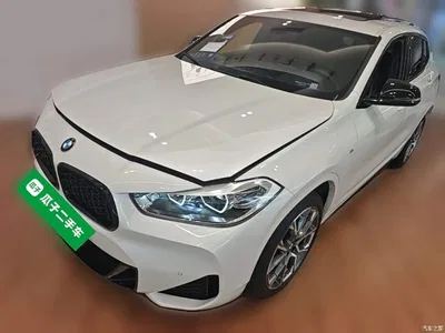 2021 BMW X2 Facelift sDrive25i M Sport Package, фото 3, лот 10475494
