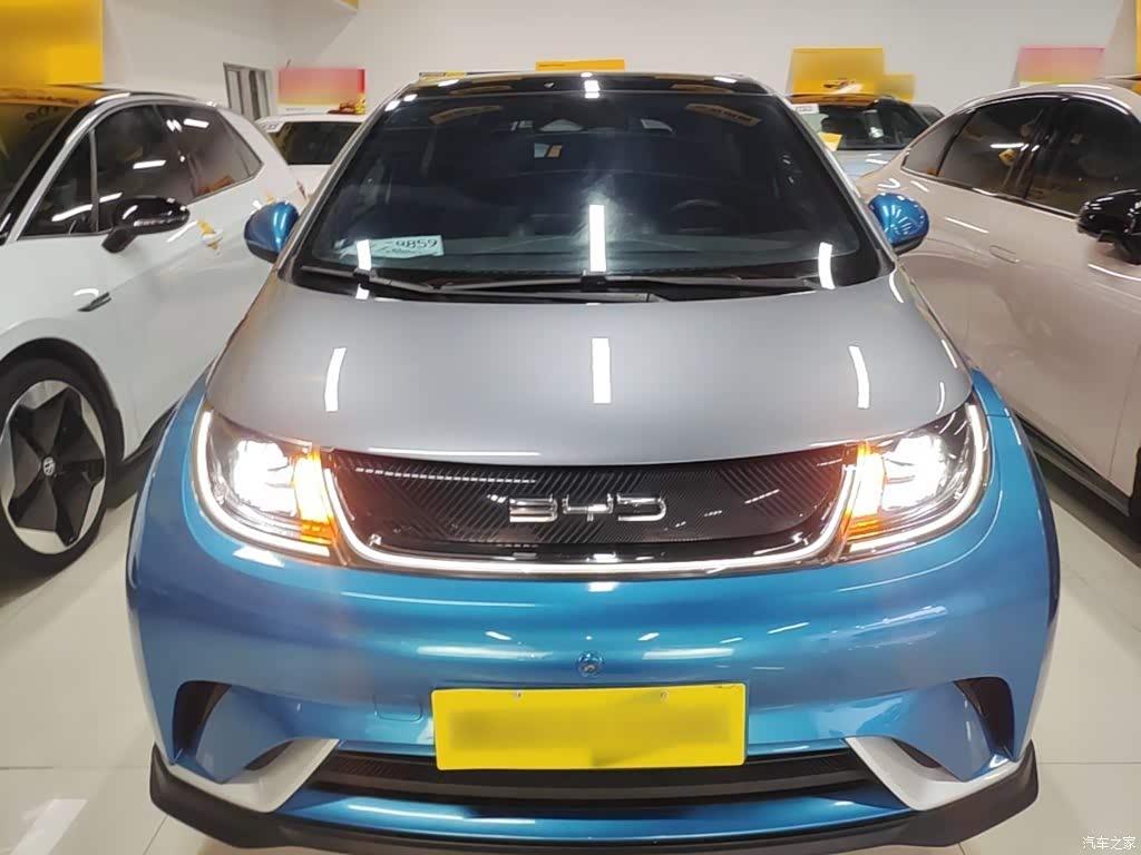 2021 BYD Dolphin 401km Knight Edition, фото 3, лот 11212335