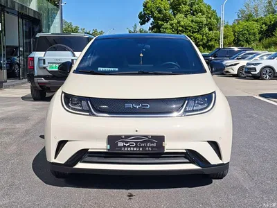 2024 BYD Dolphin Glory Edition 420km Fashion Edition, фото 2, лот 10257099