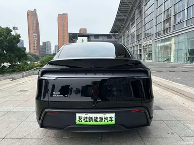 2025 Tesla Model Y Rear-Wheel Drive, фото 4, лот 11081330
