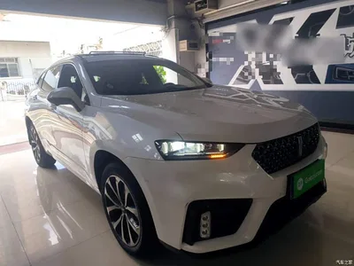 2020 WEY VV7 2.0T Super Luxury, фото 4, лот 10452157