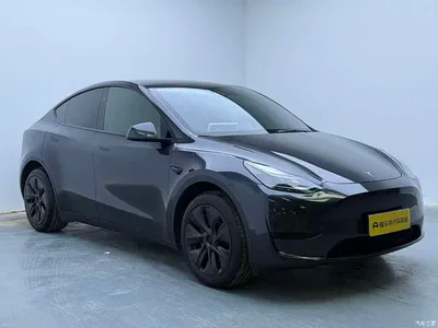 2024 Tesla Model Y Rear-Wheel Drive Version, фото 3, лот 11532370