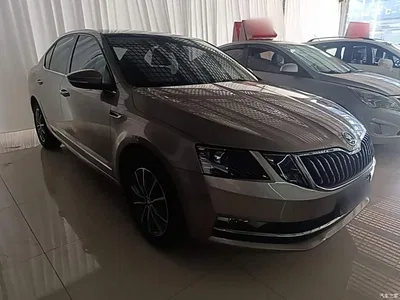 2020 Škoda Octavia 1.5L Automatic Smart Luxury Edition, фото 4, лот 11302167