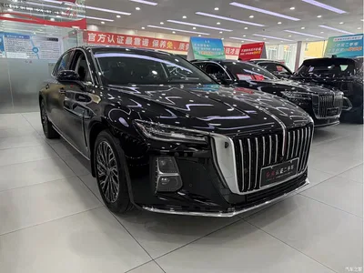 2025 Hongqi H5 2.0T Automatic Flag Celebration 500,000 Units Anniversary Edition, фото 3, лот 10662929