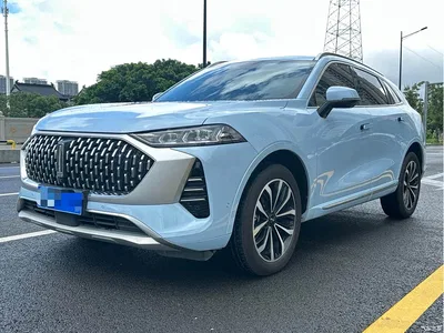 2021 WEY Mocha 2.0T 2WD Premium Edition, фото 1, лот 11152184