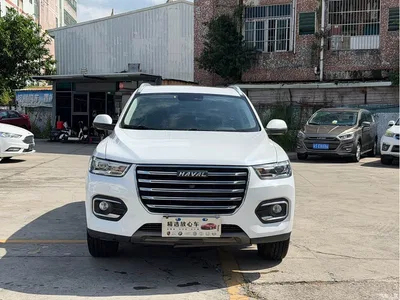 2020 Haval H6 1.5GDIT Automatic Platinum Champion Edition, фото 2, лот 10398611