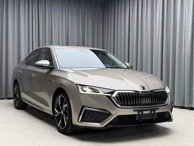 2023 Škoda Octavia PRO TSI280 Luxury Edition, фото 3, лот 10348852