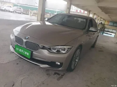 2019 BMW 3 Series 320Li Fashion Type, фото 2, лот 11212993