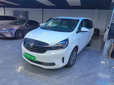 2021 Buick GL8 Land Business Class 652T Luxury, фото 2, лот 10388458
